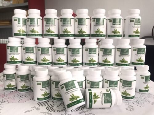 Fah Talai Jone by Rai Ing Dao 500 mg. [Big Pack 10 pcs.]